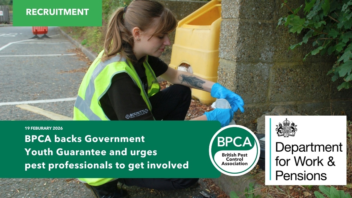 BPCAbacksGovernmentYouthGuaranteenews